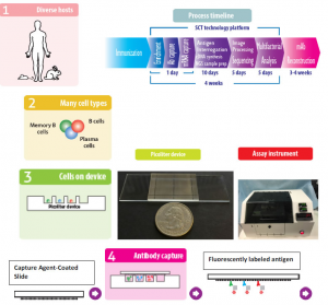 A-Revolutionary-Antibody-Discovery-Technology